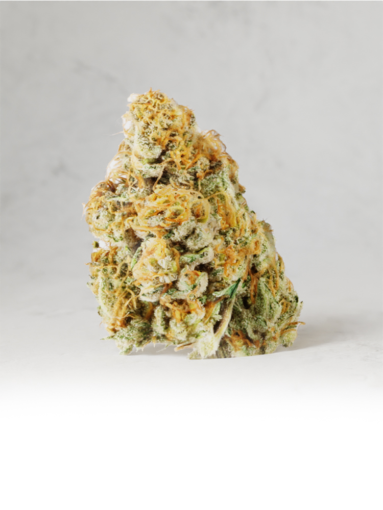 Golden Sunrise Premium Flower