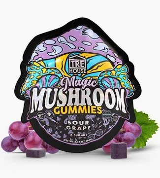 Treehouse Magic Mushroom Gummies - Sour Grape