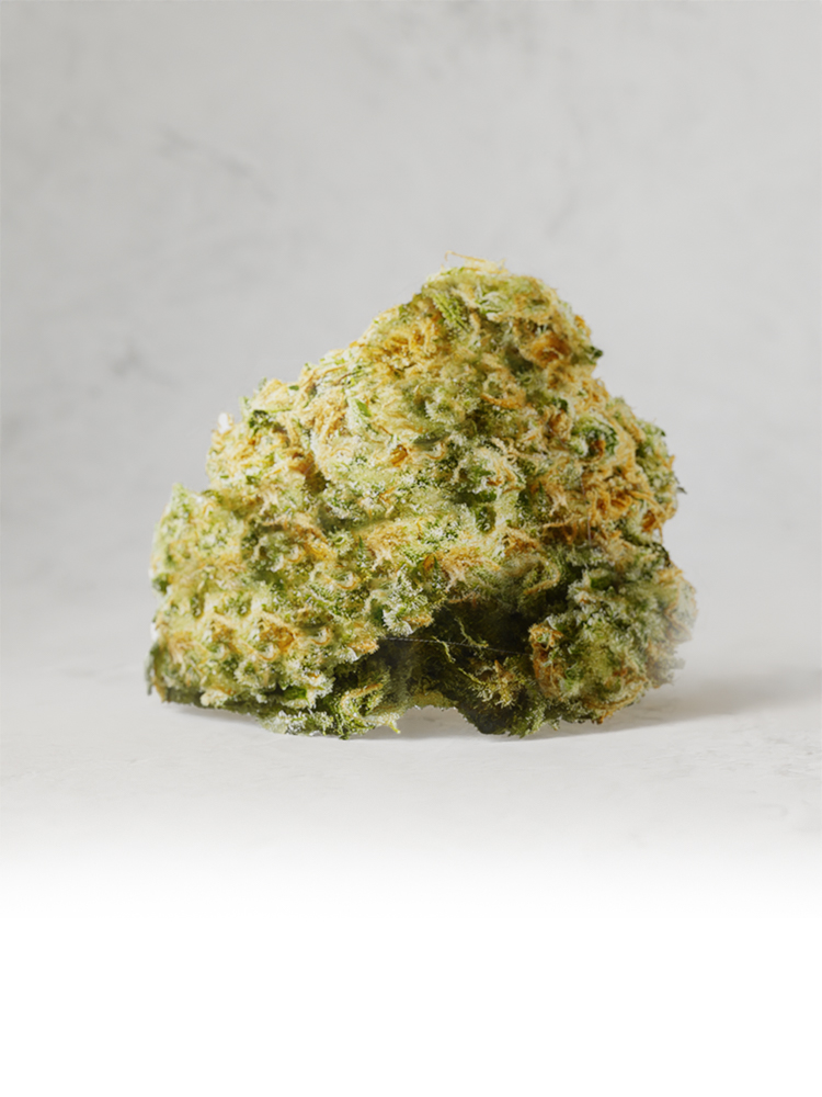 Lemon Haze Premium Flower